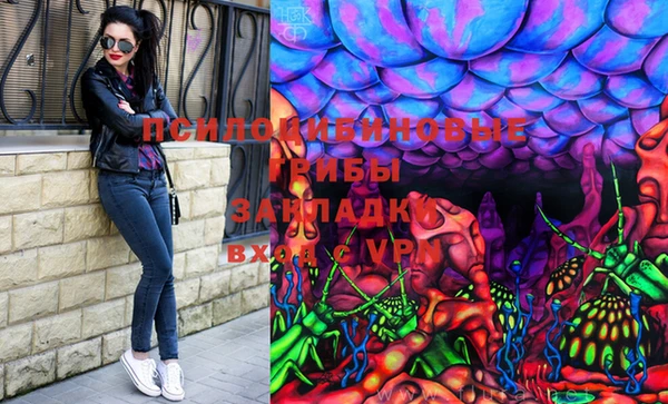 apvp Беломорск