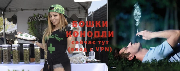 крисы Белоозёрский
