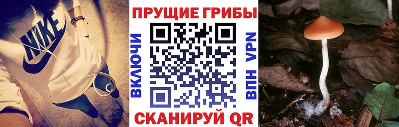 Псилоцибиновые грибы MAGIC MUSHROOMS  Кущёвская 