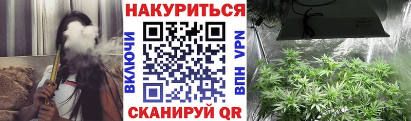 Бошки Шишки сатива Кущёвская